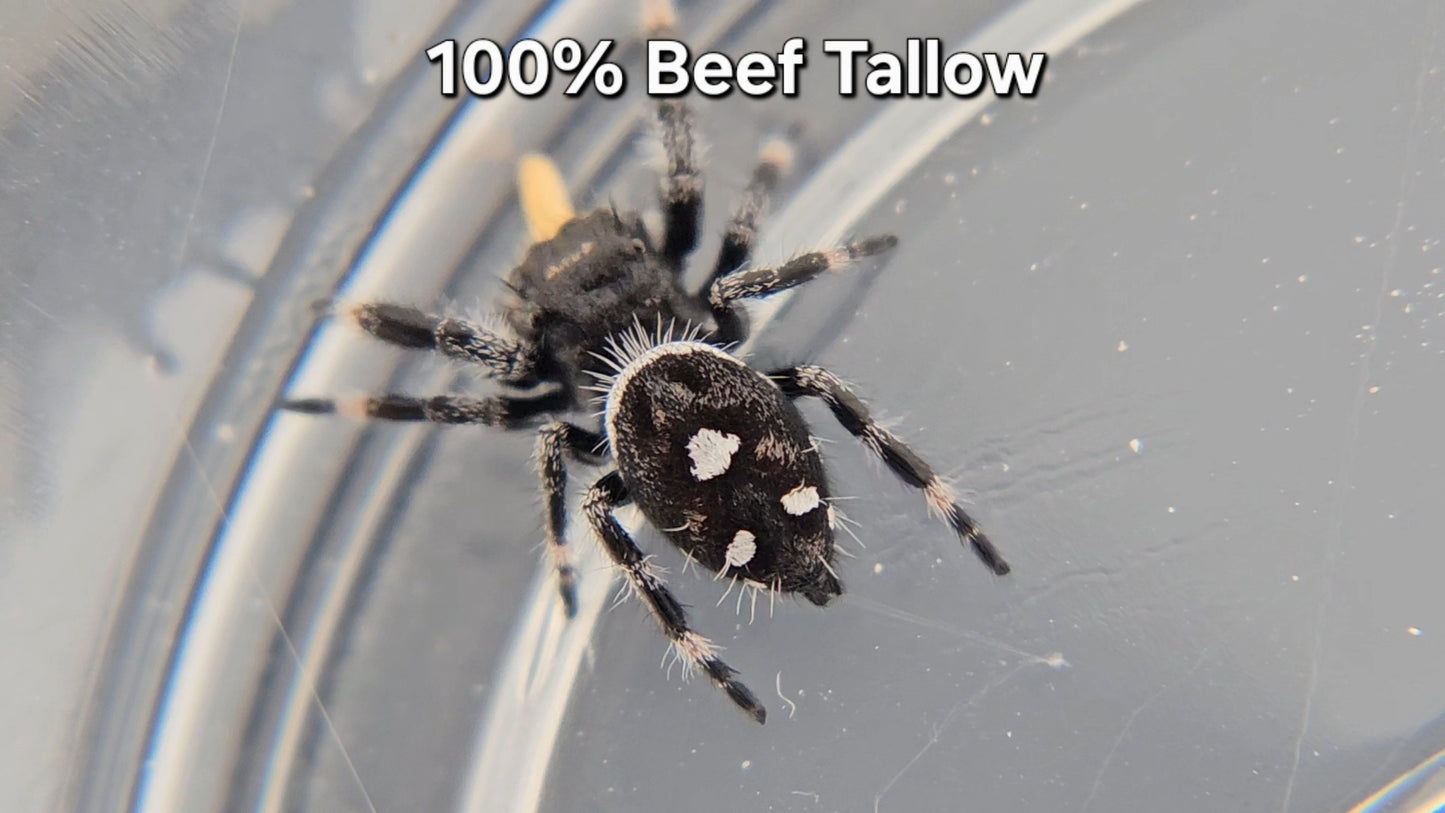 100% Beef Tallow
