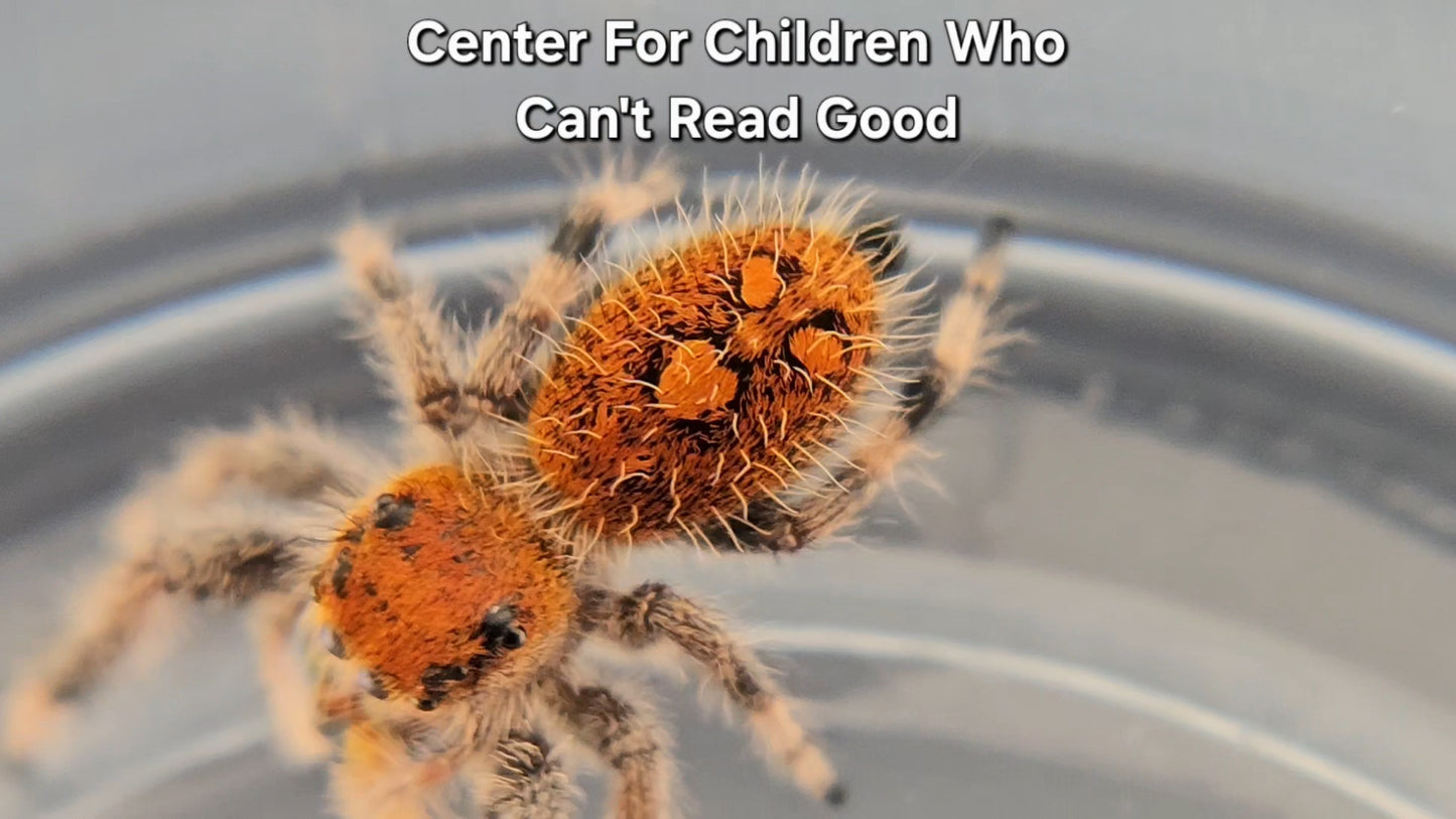 Center For Children Who Can't Read Good - Female Regal
