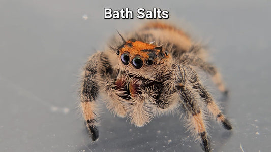 Bath Salts - Female Regal