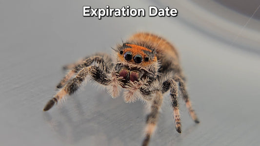 Expiration Date - Female Regal