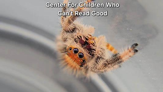 Center For Children Who Can't Read Good - Female Regal