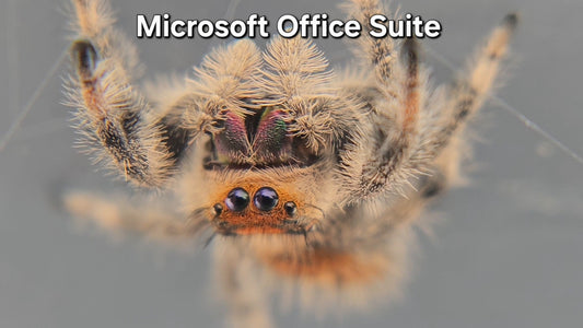 Microsoft Office Suite - Female Regal