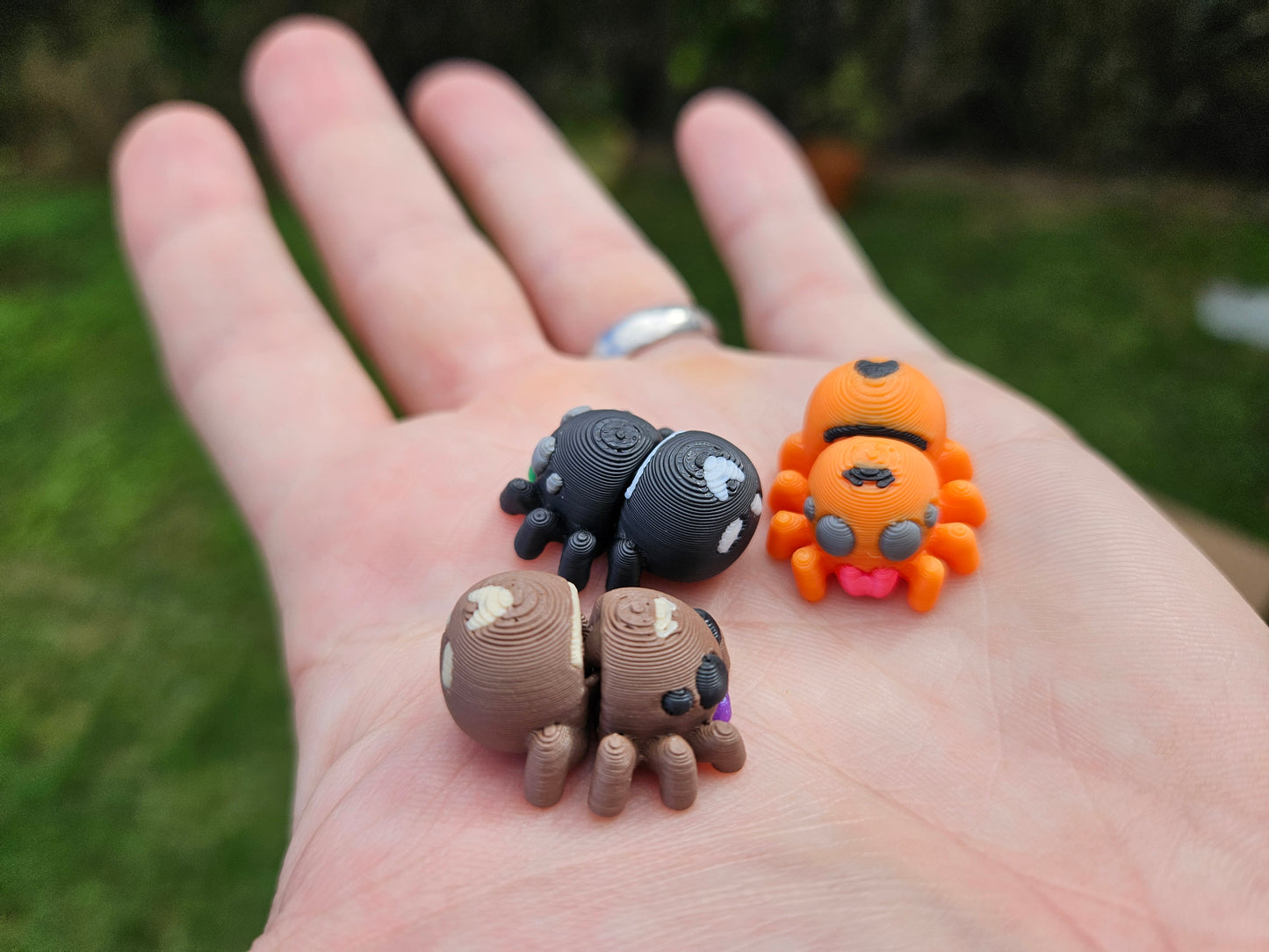 FREE Miniature Jumping Spiders (Automatic Discount In Cart)
