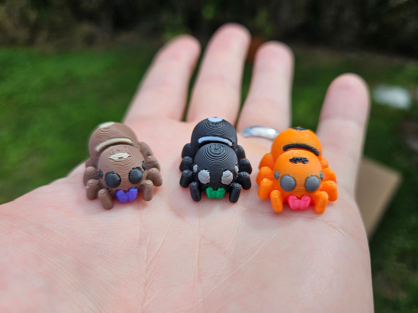 FREE Miniature Jumping Spiders (Automatic Discount In Cart)