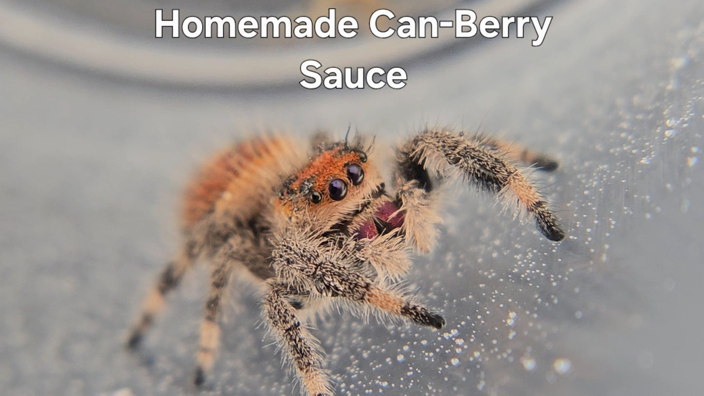 Homemade Can-Berry Sauce - Female Regal