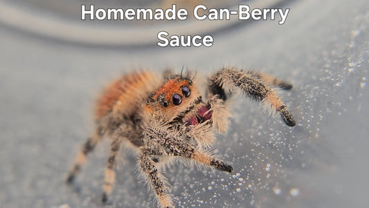 Homemade Can-Berry Sauce - Female Regal