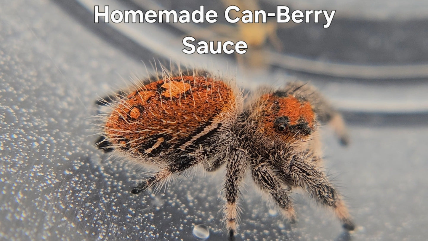 Homemade Can-Berry Sauce - Female Regal