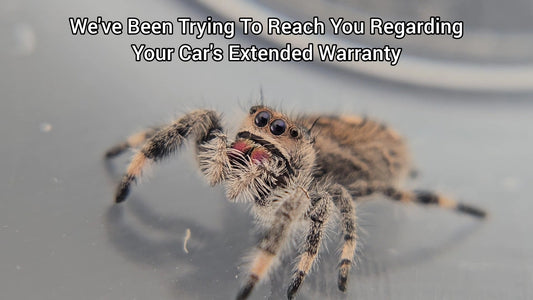 We've Been Trying To Reach You Regarding Your Car's Extended Warranty - Female Regal